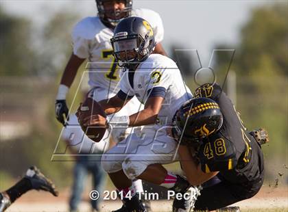 Thumbnail 1 in Sonora @ Sunny Hills photogallery.