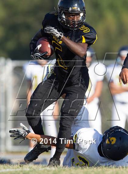 Thumbnail 1 in Sonora @ Sunny Hills photogallery.