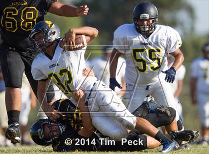 Thumbnail 1 in Sonora @ Sunny Hills photogallery.