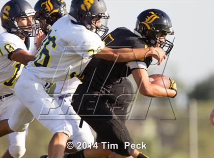 Thumbnail 2 in Sonora @ Sunny Hills photogallery.