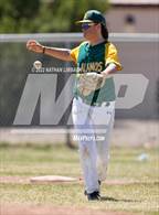 Photo from the gallery "Taos @ Los Alamos"