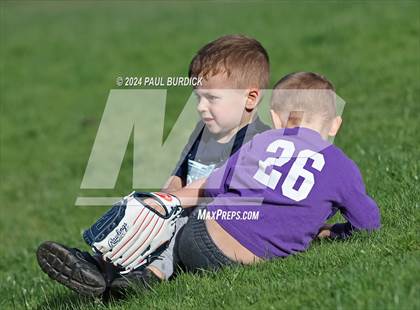 Thumbnail 1 in Cameron County @ Coudersport photogallery.