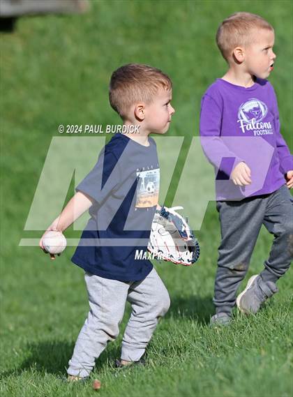 Thumbnail 1 in Cameron County @ Coudersport photogallery.