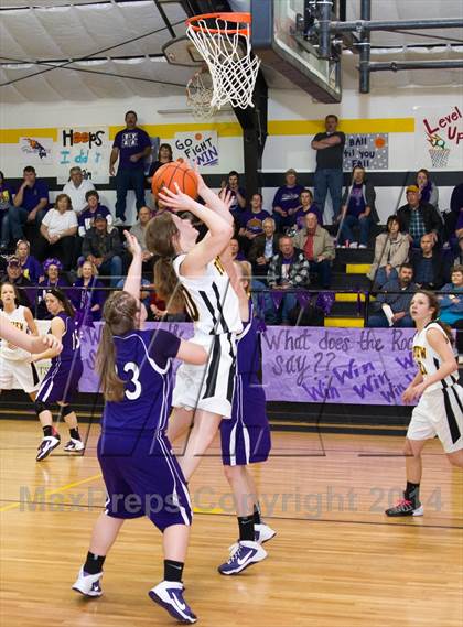 Thumbnail 1 in Fairview vs. Holden photogallery.