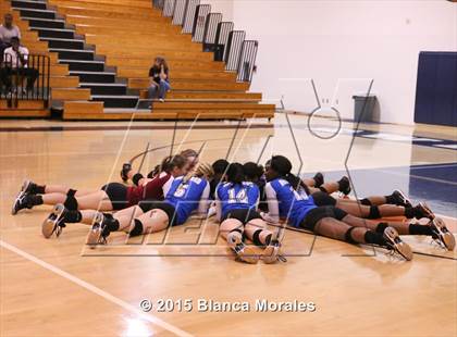 Thumbnail 1 in Armwood @ Wharton  photogallery.