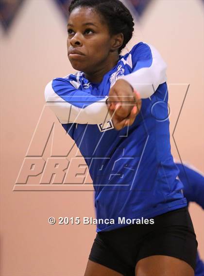 Thumbnail 3 in Armwood @ Wharton  photogallery.