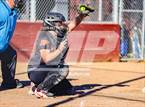 Photo from the gallery "Windsor @ Piner"