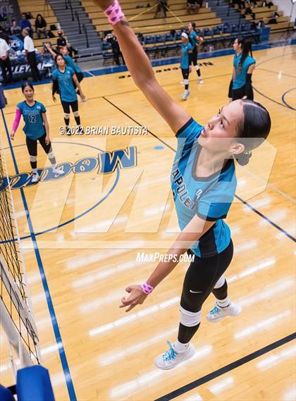 Thumbnail 1 in 'Iolani vs. Kapolei (HHSAA Division 1 Quarterfinal) photogallery.