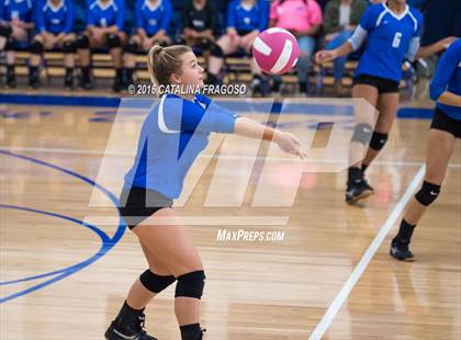 Thumbnail 1 in Paterson Catholic @ Wood-Ridge photogallery.