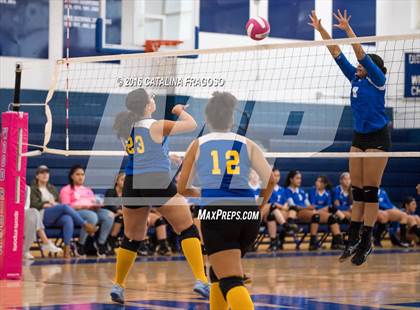 Thumbnail 3 in Paterson Catholic @ Wood-Ridge photogallery.