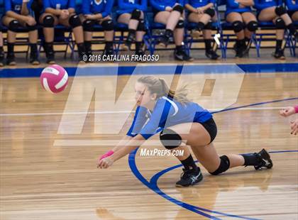 Thumbnail 2 in Paterson Catholic @ Wood-Ridge photogallery.
