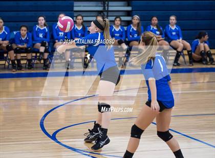 Thumbnail 2 in Paterson Catholic @ Wood-Ridge photogallery.