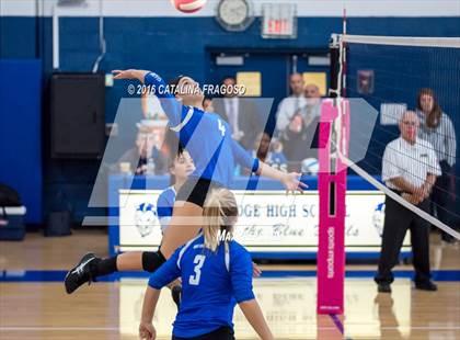 Thumbnail 3 in Paterson Catholic @ Wood-Ridge photogallery.