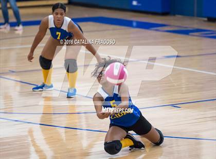 Thumbnail 3 in Paterson Catholic @ Wood-Ridge photogallery.