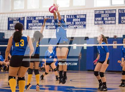 Thumbnail 3 in Paterson Catholic @ Wood-Ridge photogallery.