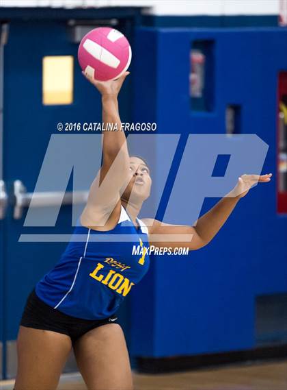 Thumbnail 1 in Paterson Catholic @ Wood-Ridge photogallery.