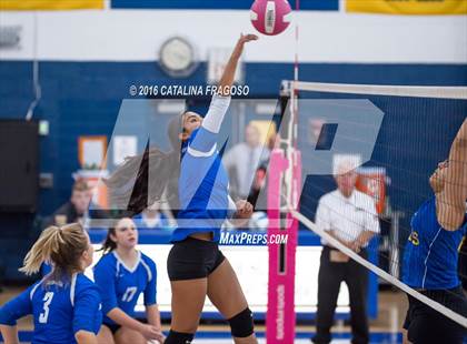 Thumbnail 2 in Paterson Catholic @ Wood-Ridge photogallery.