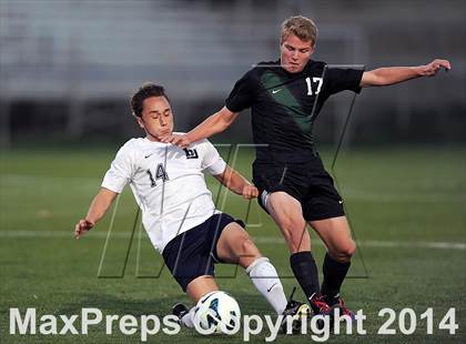 Thumbnail 3 in Norman North @ Bob Jones photogallery.