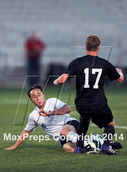 Thumbnail 3 in Norman North @ Bob Jones photogallery.