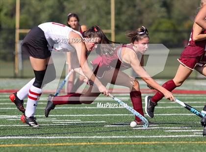 Thumbnail 2 in Pittsford @ Penfield photogallery.