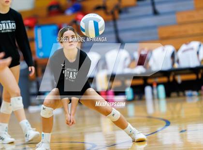 Thumbnail 3 in Papillion-LaVista vs. Omaha Central photogallery.