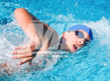 Thumbnail 1 in Chandler City Invitational photogallery.