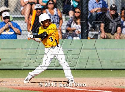 Thumbnail 2 in Wilcox @ Milpitas photogallery.