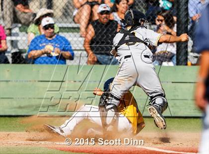 Thumbnail 1 in Wilcox @ Milpitas photogallery.