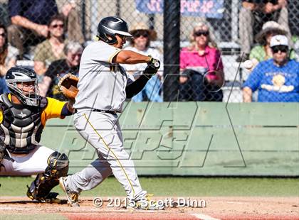 Thumbnail 1 in Wilcox @ Milpitas photogallery.