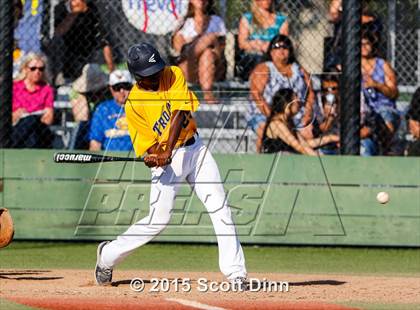 Thumbnail 1 in Wilcox @ Milpitas photogallery.