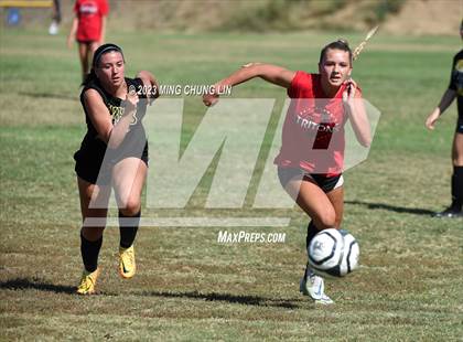 Thumbnail 2 in Capistrano Valley vs. San Clemente (Summer League) photogallery.