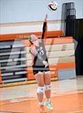 Photo from the gallery "Taylor @ University"