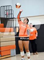Photo from the gallery "Taylor @ University"