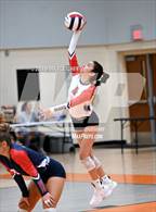 Photo from the gallery "Taylor @ University"