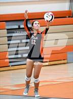 Photo from the gallery "Taylor @ University"