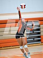 Photo from the gallery "Taylor @ University"