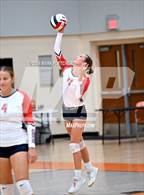 Photo from the gallery "Taylor @ University"