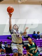 Photo from the gallery "Evergreen @ Foster"