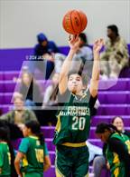 Photo from the gallery "Evergreen @ Foster"