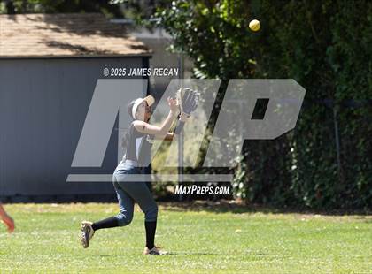 Thumbnail 1 in Piedmont Hills @ Notre Dame (CIF CCS D2 Quarterfinal) photogallery.