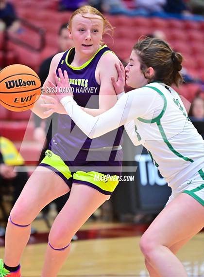 Thumbnail 1 in  (CHSAA 3A Consolation Round) Ellicott vs St. Mary's photogallery.
