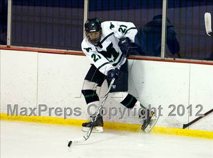 Thumbnail 1 in Marquette vs. Rockwood Summit photogallery.