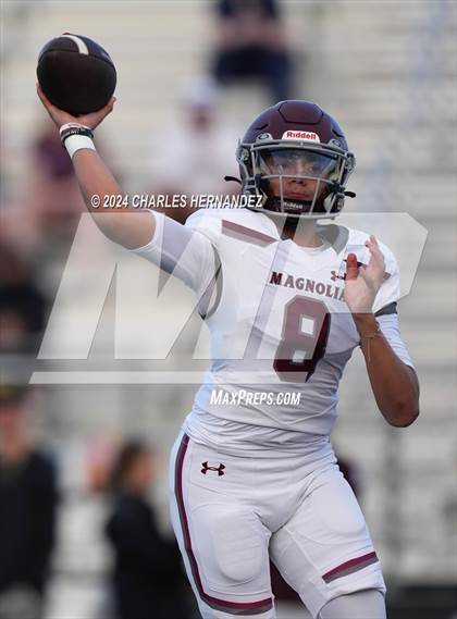 Thumbnail 2 in Magnolia @ College Station (A Teams) photogallery.