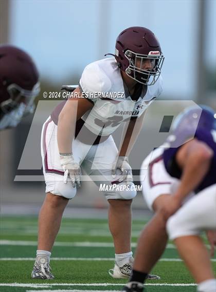 Thumbnail 3 in Magnolia @ College Station (A Teams) photogallery.