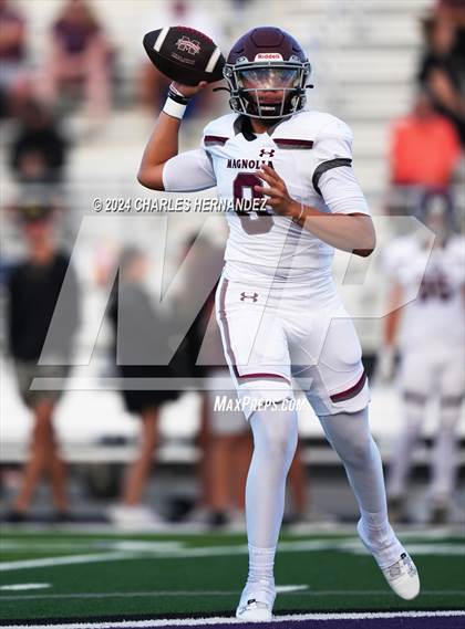 Thumbnail 3 in Magnolia @ College Station (A Teams) photogallery.