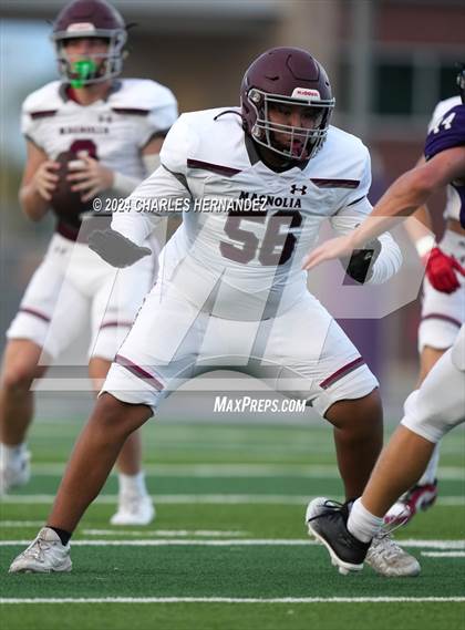 Thumbnail 1 in Magnolia @ College Station (A Teams) photogallery.
