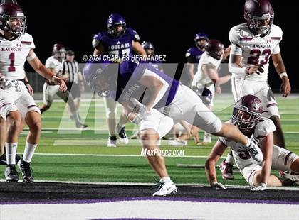 Thumbnail 3 in Magnolia @ College Station (A Teams) photogallery.