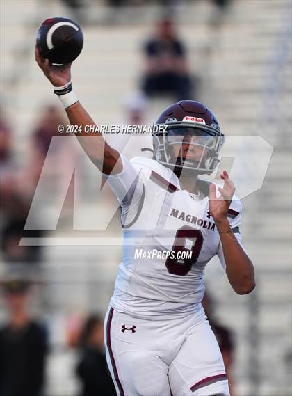 Thumbnail 3 in Magnolia @ College Station (A Teams) photogallery.