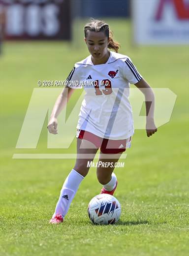 null - Photo 01