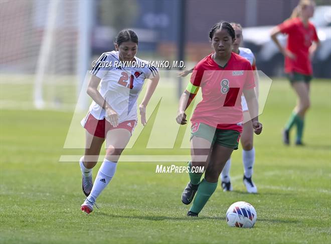 null - Photo 01